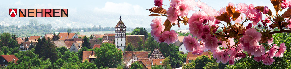 Nehren - Panorama mit Kirschblütenzweig Nehren - Panorama mit Kirschblütenzweig