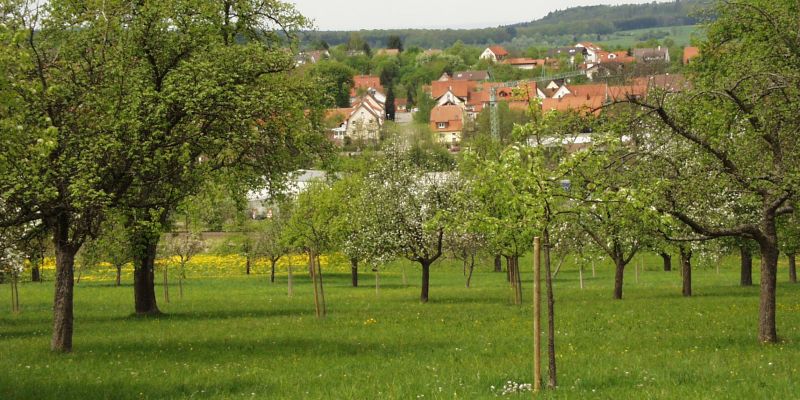 Gemeinde Nehren, Notfalldose - eine Aktion des Krankenpflegevereins Nehren