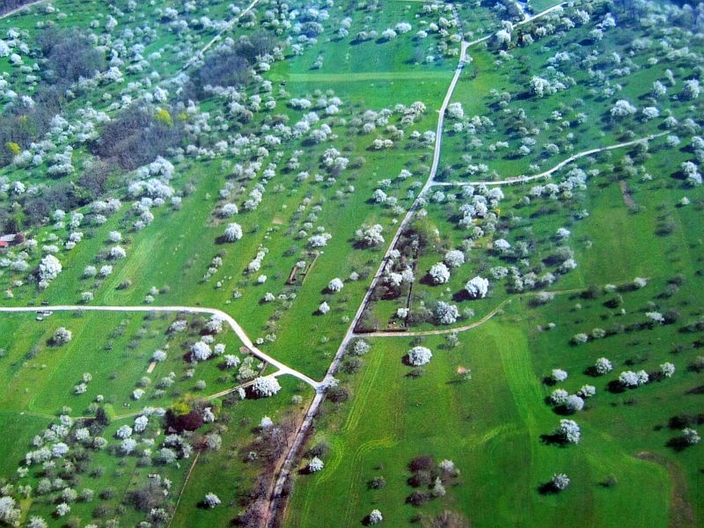 Kirschfeld Kirschfeld