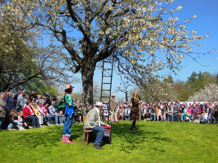 Kirschblütenfest